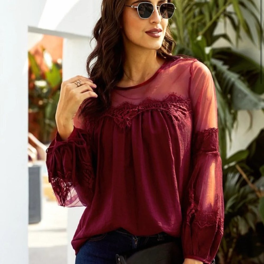 Vici Contrast Sheer Mesh Maroon Blouse Fairycore